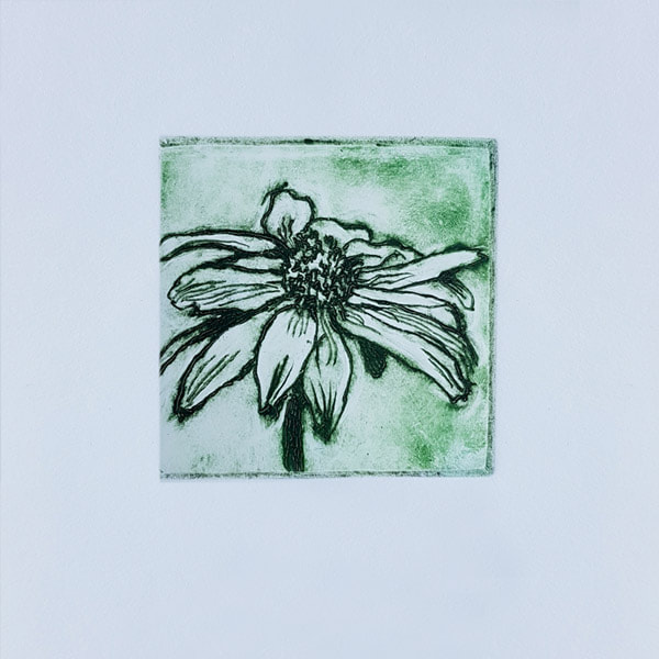 Daisy - mixed green ink on blue cotton paper - AP