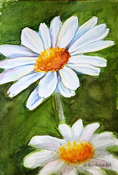 Daisies 1 - watercolour on paper - 7.5x11"